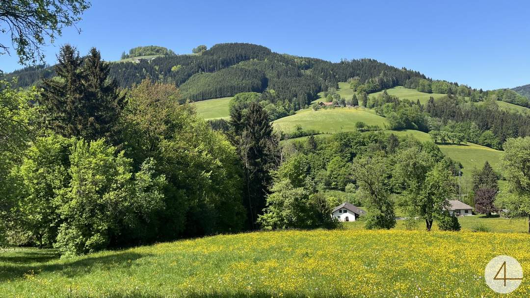 Green green grass of home - sonnige, einzigartige Lage im Grünen - einfach ein Grünoase!