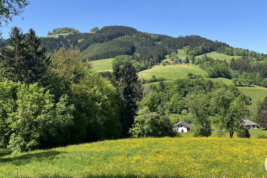 Green green grass of home - sonnige, einzigartige Lage im Grünen - einfach ein Grünoase!, Haus-kauf, 199.000,€, 3264 Scheibbs