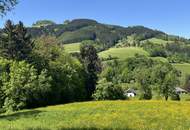 Green green grass of home - sonnige, einzigartige Lage im Grünen - einfach ein Grünoase!