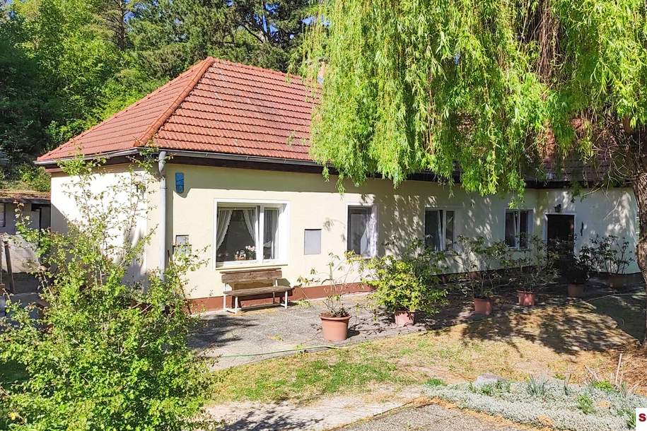 2061 m2 großer Traumgrund neben dem Wald mit sanierungsbedürftigem Althausbestand, Haus-kauf, 648.000,€, 2551 Baden