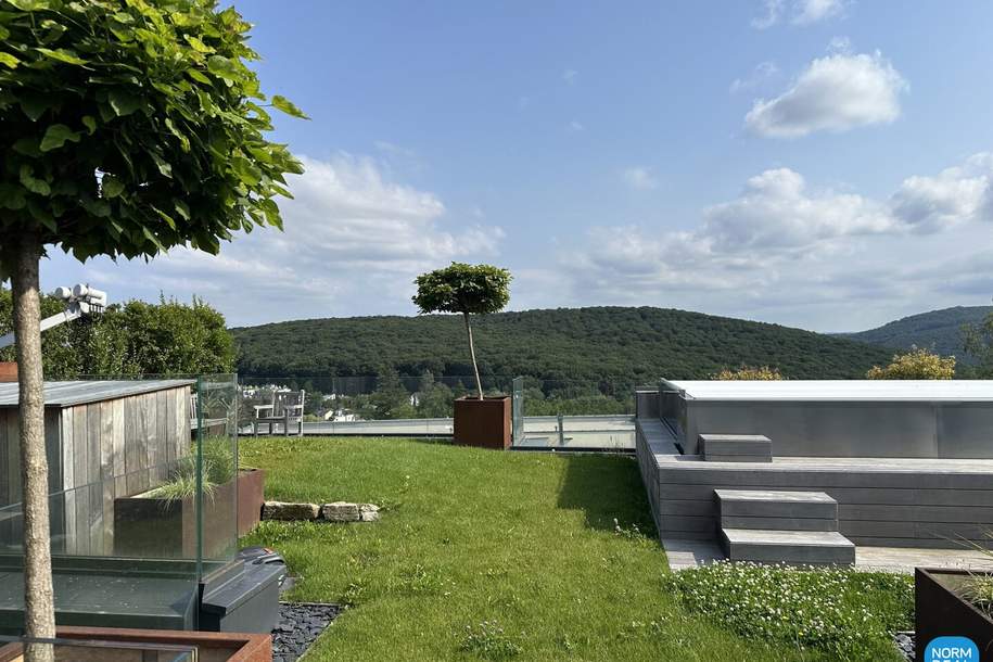 Spektakuläres Penthouse in Toplage, Wohnung-kauf, 4.490.000,€, 1190 Wien 19., Döbling