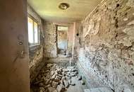 Stark sanierungsbedürftiges Landhaus mit viel Potenzial – ideal für Handwerker!