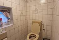 RARITÄT IN HOLLABRUNN: CHARMANTES, SANIERUNGSBEDÜRTIGES LANDHAUS MIT BAULANDRESERVE IN SEHR GUTER WOHNLAGE MIT HERRLICHEM GARTEN SAMT ALTBAUMBESTAND