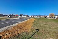 Baugrundstück am Stadtrand in Purbach !