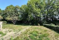 GRÜN. GROSSZÜGIG. VIELSEITIG. Einfamilienhaus mit Potential, 5 Zimmer, Wohnküche, 1139 m2 Grundstück, Wirtschaftsgebäude