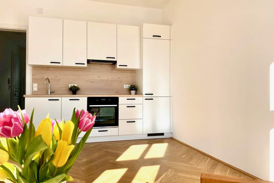 FÜR ALTBAU-LIEBHABER:INNEN! WUNDERSCHÖN RENOVIERTE HELLE UND RUHIGE WOHNUNG, Wohnung-kauf, 229.500,€, 1150 Wien 15., Rudolfsheim-Fünfhaus