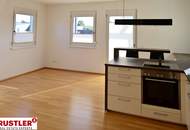 Vermietete Penthouse-Wohnung mit 3 Zimmern und Terrasse in Puntigam zu verkaufen