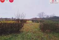 Wohntraum am Neusiedler See - hochwertiges Zuhause mit Seele