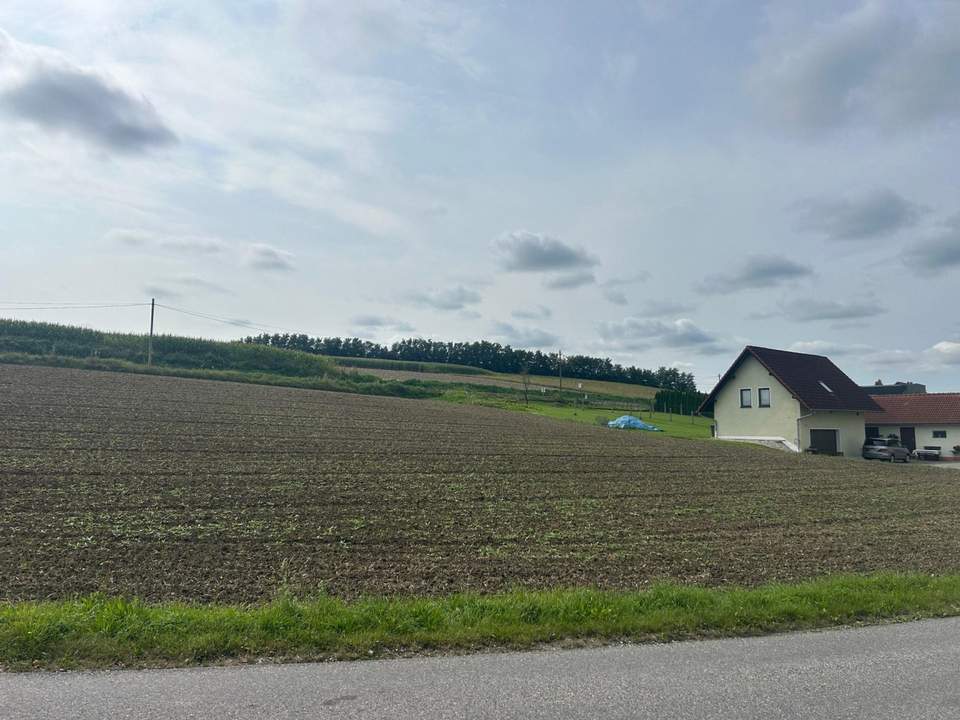 Gewerbegrundstück mit MB Widmung direkt an die Hauptstrasse B 137 angrenzend