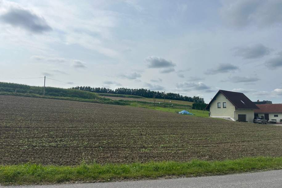 Gewerbegrundstück mit MB Widmung direkt an die Hauptstrasse B 137 angrenzend, Grund und Boden-kauf, 4631 Wels-Land