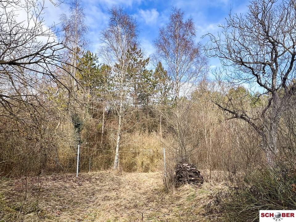 Grundstück in Waldrandlage