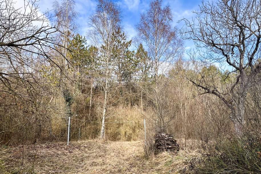 2061 m2 großer Traumgrund in Waldrandlage, Grund und Boden-kauf, 648.000,€, 2551 Baden