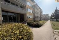 3,5 Zimmer mit schöner Aussicht