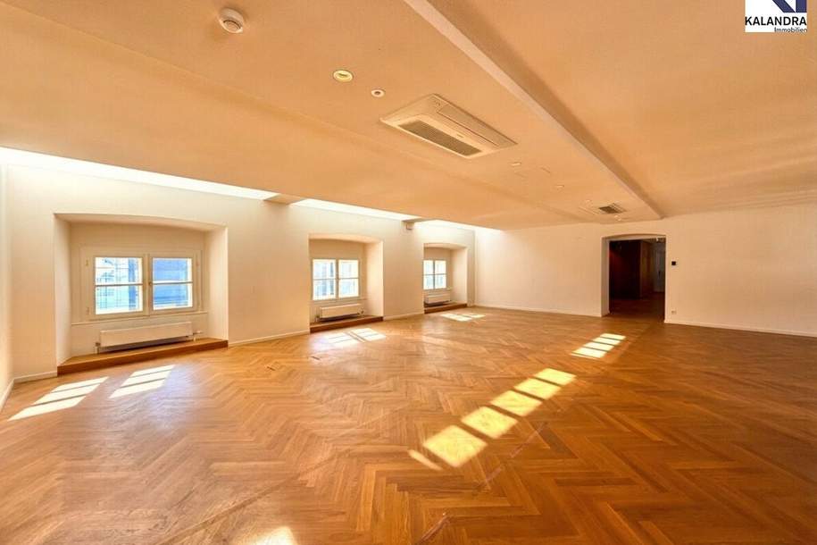 360 TOUR // PALAIS - BÜRO HARRACH, Gewerbeobjekt-miete, 28.936,05,€, 1010 Wien 1., Innere Stadt