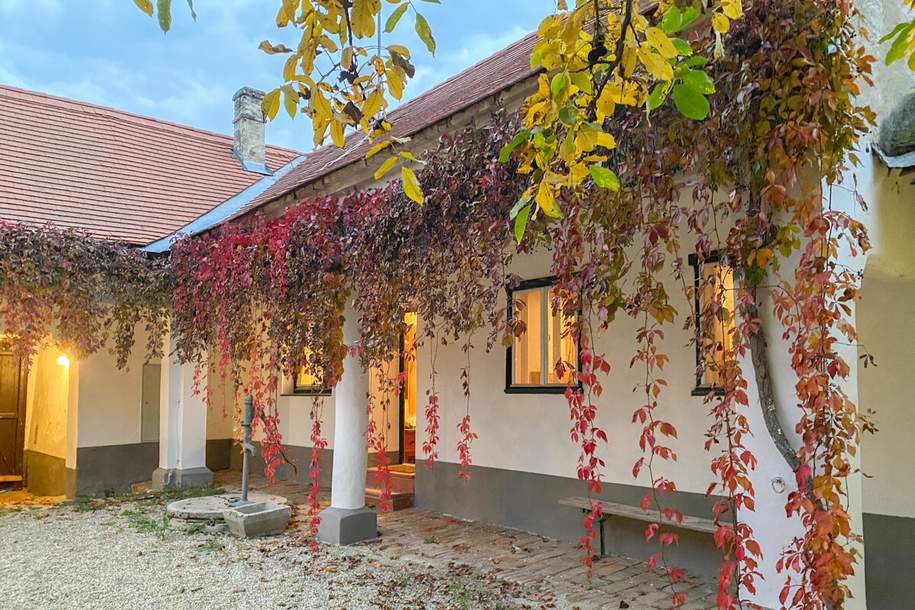 Idyllischer Dreiseithof im Weinviertel - Viel Platz zum Wohlfühlen und Entspannen, Haus-kauf, 499.000,€, 2042 Hollabrunn