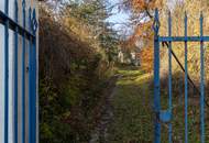 Rarität! Histroische Jahrhundertwende-Villa mit Privatpark und Wald | Blick in alle Himmelsrichtungen | Lichtdurchflutet