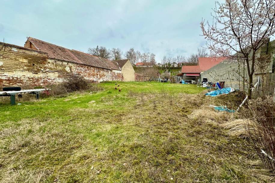 1.355 m² BAUGRUNDSTÜCK ohne Bauzwang, Grund und Boden-kauf, 85.000,€, 2154 Mistelbach
