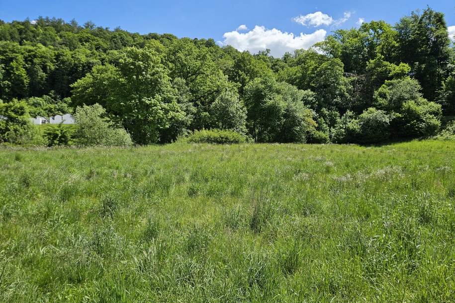 Großzügiges Baugrundstück in ruhiger Lage direkt neben Burghausen, Grund und Boden-kauf, 185.000,€, 5122 Braunau am Inn