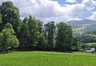 Grundstück mit Seeblick in der Oststeiermark.