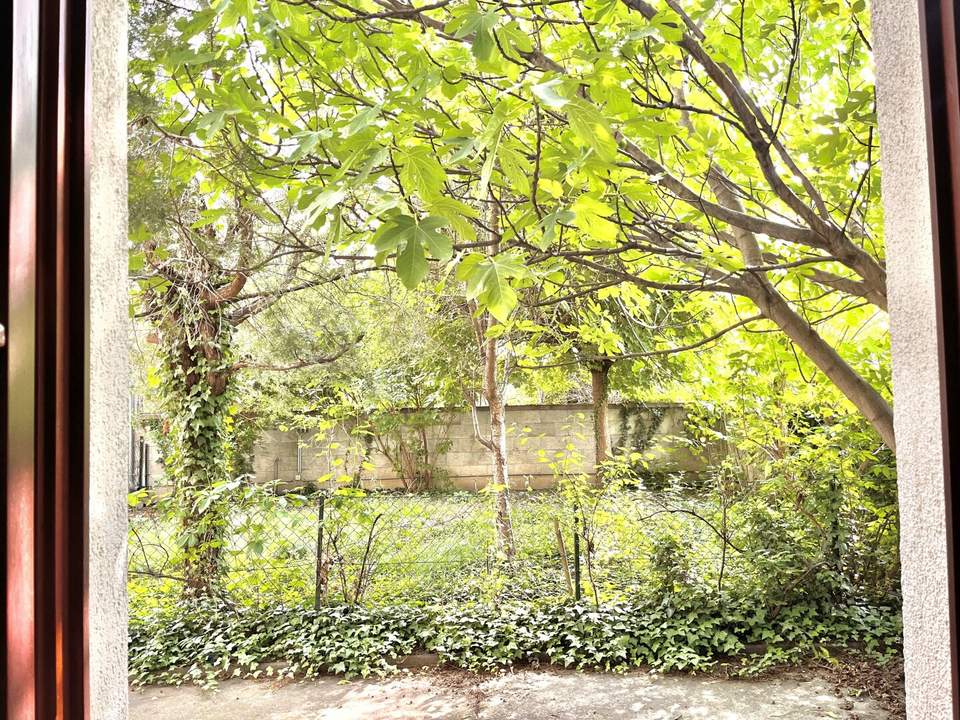 Sanierer aufgepasst! – Familienwohnung mit Gartentraum nahe Alte Donau