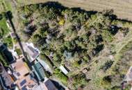 Wohnen im Grünen: Einfamilienhaus mit eigenem Wald &amp; viel Platz