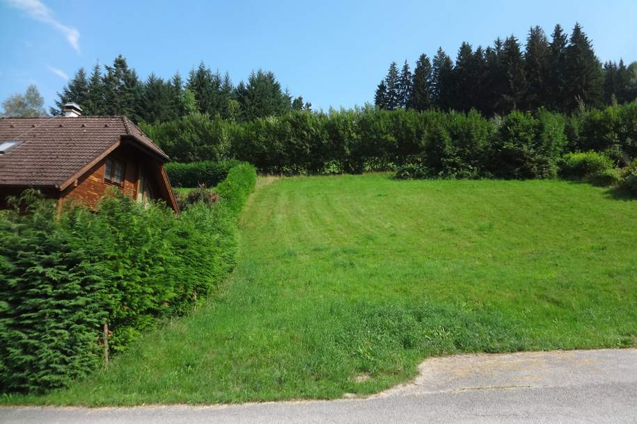 BAUGRUND IN NATURNAHER UMGEBUNG, OHNE BAUZWANG!, Grund und Boden-kauf, 45.000,€, 2880 Neunkirchen