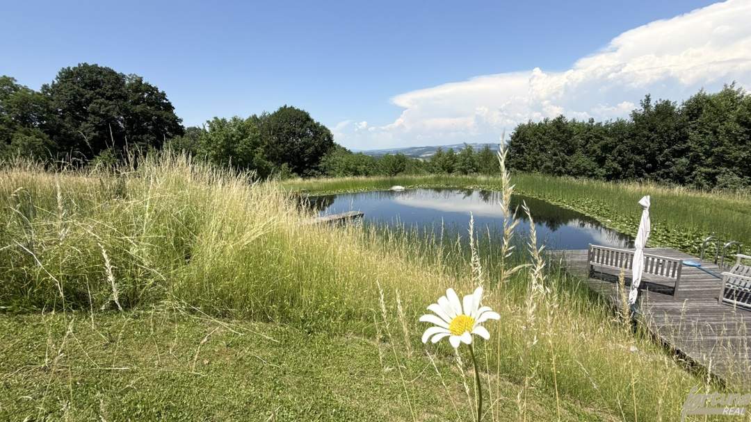 Loftwohnung mit Garten, Terrasse und Schwimmteich : naturnah und außergewöhnlich.