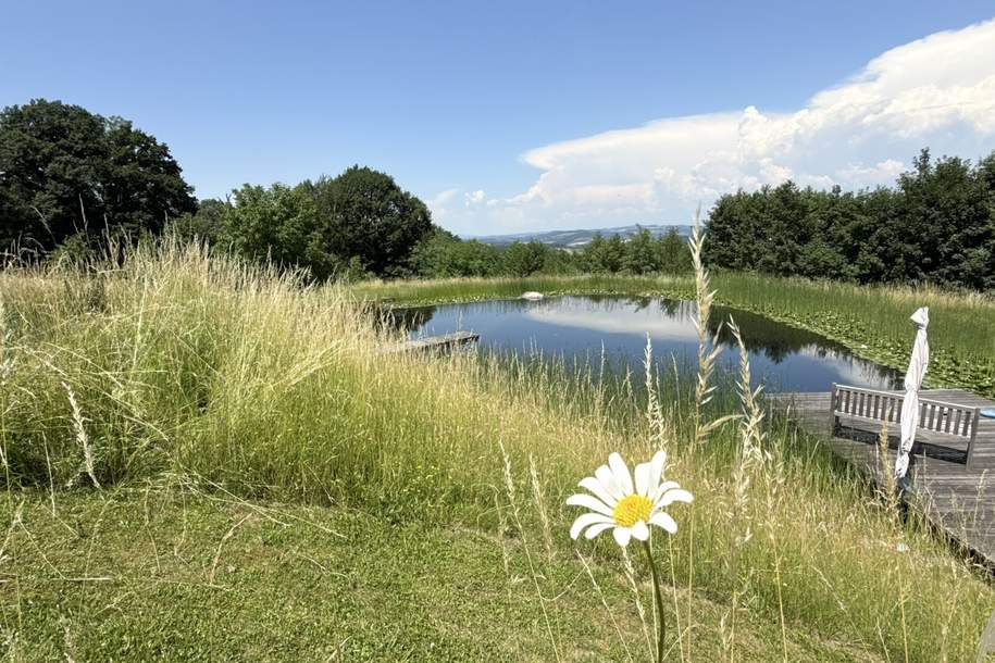 Loftwohnung mit Garten, Terrasse und Schwimmteich : naturnah und außergewöhnlich., Wohnung-kauf, 322.000,€, 4612 Eferding