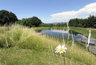 Loftwohnung mit Garten, Terrasse und Schwimmteich : naturnah und außergewöhnlich.