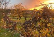 Traumhafter Vierkanthof (privat) (Provisionsfrei)