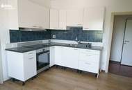 3 Wohneinheiten und ein Geschäftslokal mit vielen Lagerräumen auf 4.499m² Grund im Bauland Mischgebiet!