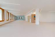 ROBIN Seestadt - Innovative Büroflächen in Wiens modernstem Stadtquartier
