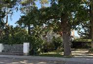 Historische Villa mit privatem Parkgarten in Langenlebarn bei Tulln