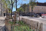 1150! Helle 2-Zimmer Wohnung mit großer Küche nahe Schwendermarkt//Äußere Mariahilferstraße! Super angebunden in die City!