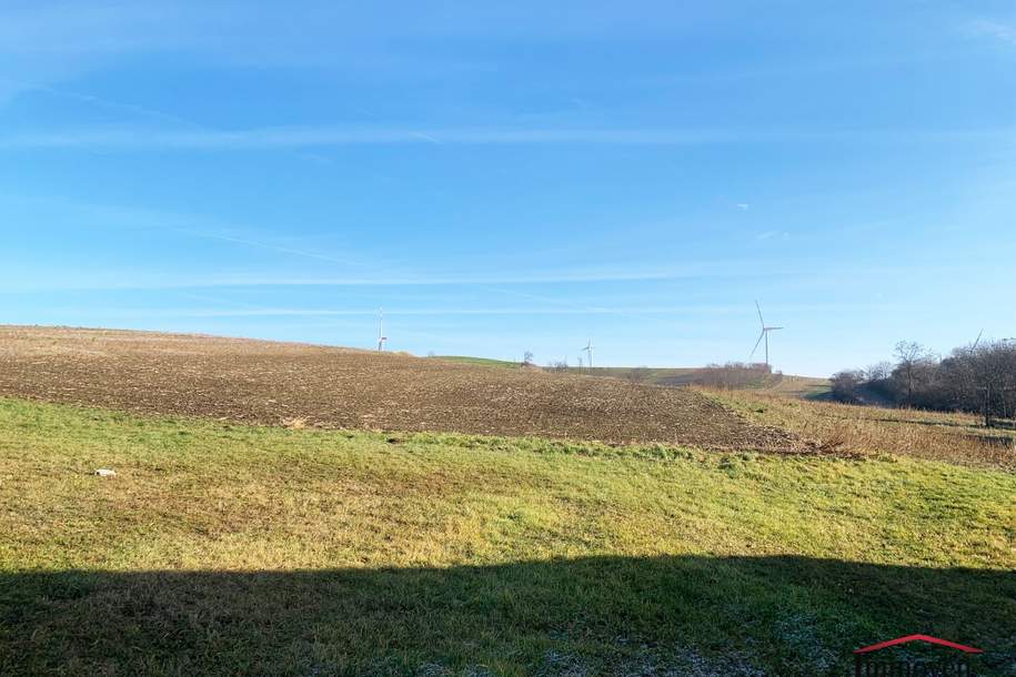 EINMALIGE GELEGENHEIT - Großes sonniges Grundstück und 2 große Ackerflächen!, Grund und Boden-kauf, 300.000,€, 2170 Mistelbach