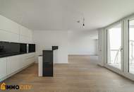 Ihre neue Dach-Traumwohnung, 3,5 Zimmer, Erstklassige Ausstattung, Neubau, luxuriös + 75 m² Dachterrasse und 1x Garage inkl.