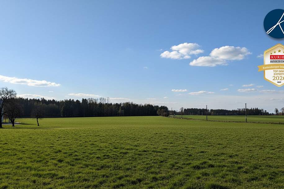 Grundstücke am Stadtrand von St. Pölten, Grund und Boden-kauf, 116.234,€, 3100 Sankt Pölten(Stadt)