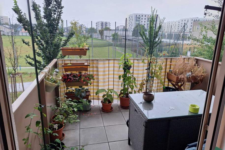 2-Zimmer mit Balkon ab 01.11. – Nähe U1 Kagraner Platz, Wohnung-miete, 949,00,€, 1220 Wien 22., Donaustadt
