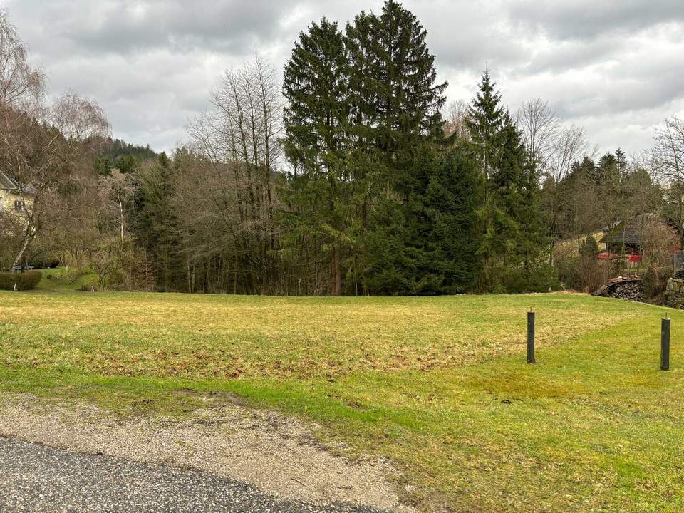 Grundstück im Mischbaugebiet - Wohn- und Arbeitsraum in Einem