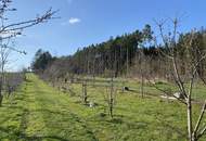 Provisionsfrei - Schönes Freizeitgrundstück mit Obstgarten