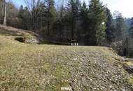 Ca. 16 ha Vielseitige Land- und Forstwirtschaftsflächen im Sackgraben – Gnadenberg