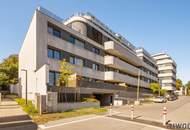 3 Zimmer plus Balkon - 200m vom Badestrand Alte Donau