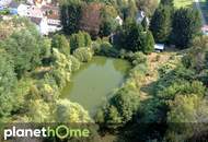 Direkte Thermennähe in Stegersbach – Traumobjekt mit Altbestand, Fischteich und Wald