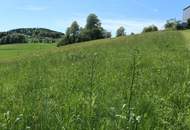 Baugrund in Dorfrandlage
