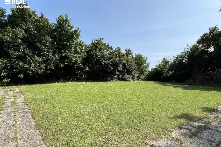 Baugrundstück mit Potenzial - zentrale und ruhige Lage mit Seeblick, Grund und Boden-kauf, 650.000,€, 7100 Neusiedl am See