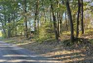 Waldgrundstücke in Salmannsdorf
