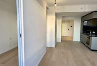 45. Etage! NUR JETZT! Österreichs höchste Mietwohnung - DANUBEFLATS