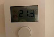 Ihr kleines Paradies am Neusiedlersee