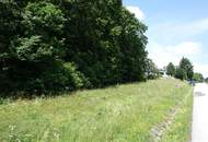 Grundstück (kein Bauzwang) mit schönem Ausblick nahe der Golf-/Thermenregion Stegersbach!