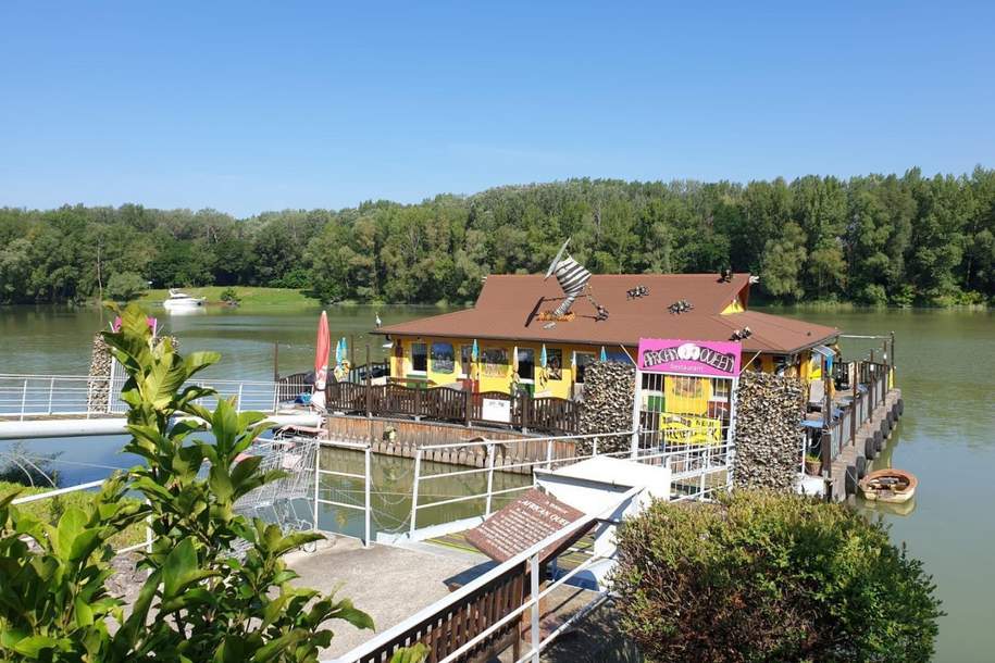 "Die African Queen auf der Donau deine Chance auf Kult Gastro mit Traumlage", Gewerbeobjekt-kauf, 359.000,€, 3422 Tulln